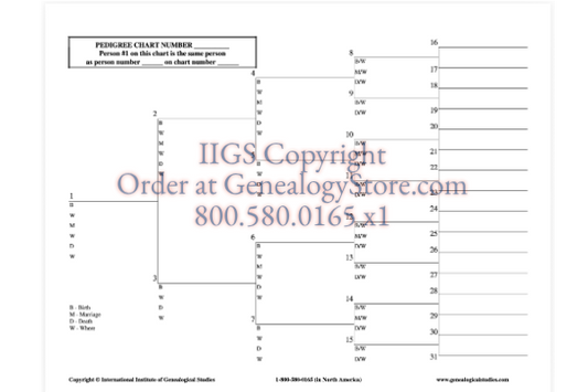 5 Generation Chart